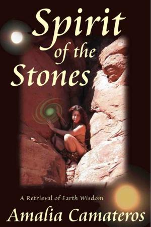 Cover of the book Spirit of the Stones: A Retrieval of Earth Wisdom by C K Blair