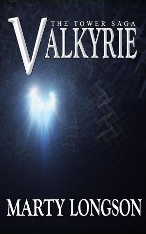 Cover of the book Valkyrie by Erik Hanberg
