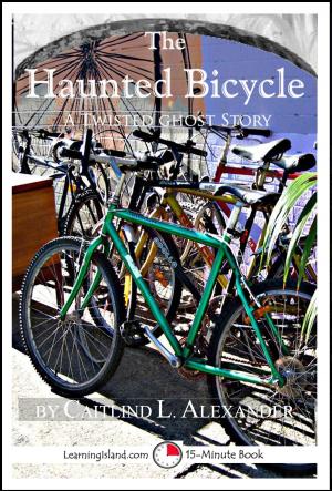 Book cover of The Haunted Bicycle: A Scary 15-Minute Ghost Story