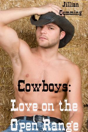Cover of the book Cowboys: Love on the Open Range by Vijaya Schartz