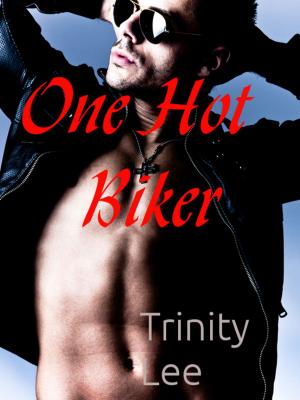 Cover of the book One Hot Biker by Laura Hunsaker