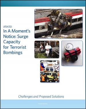 Book cover of In A Moment's Notice: Surge Capacity for Terrorist Bombings - Challenges and Proposed Solutions, Lessons from Madrid and London Bombings