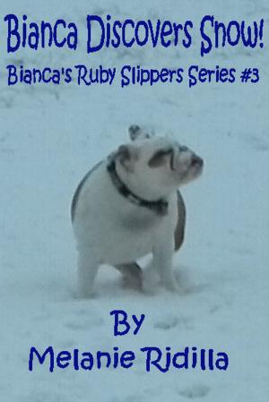 bigCover of the book Bianca Discovers Snow! (Bianca's Ruby Slippers Series #3) by 
