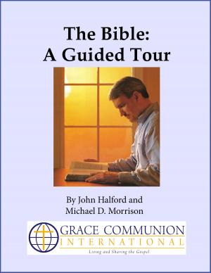 Book cover of The Bible: A Guided Tour
