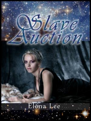 Cover of Slave Auction