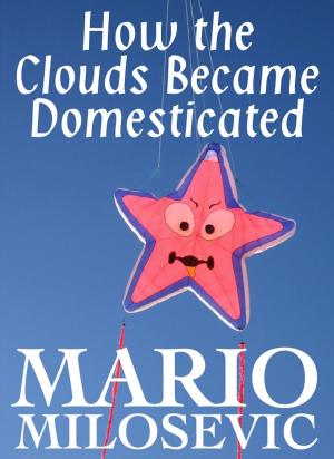 Book cover of How the Clouds Became Domesticated