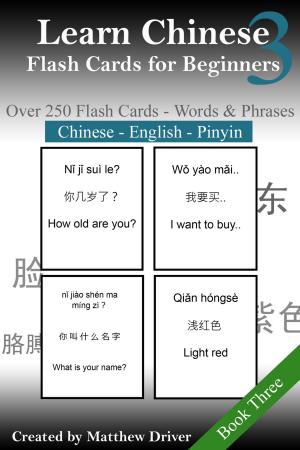 Cover of the book Learn Chinese: Flash Cards for Beginners. Book 3 by Matthew Driver