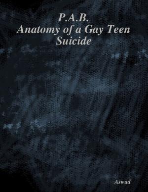 Book cover of P.A.B.: Anatomy of a Gay Teen Suicide