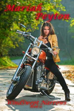 bigCover of the book WindSwept Narrows: #11 Mariah Peyton by 