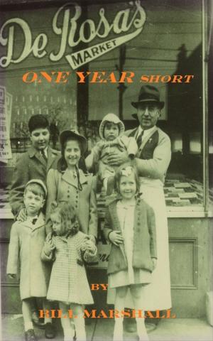 bigCover of the book One Year Short by 
