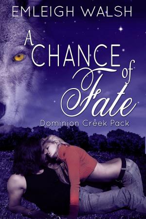 Cover of the book A Chance of Fate by Erika Rhys