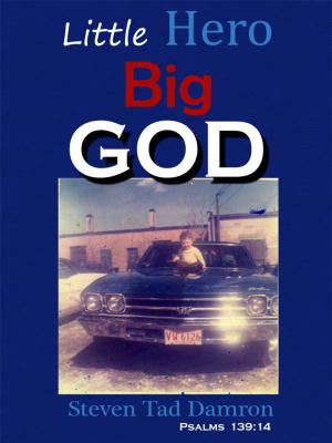 bigCover of the book Little Hero Big GOD by 