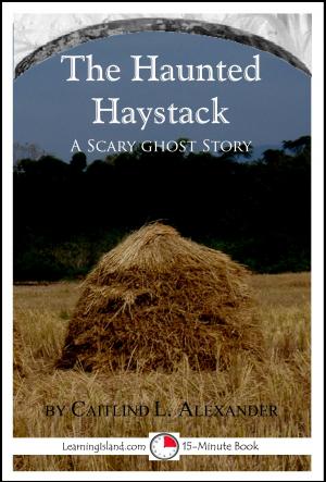 Cover of the book The Haunted Haystack: A Scary 15-Minute Ghost Story by Maureen F. Musumeci