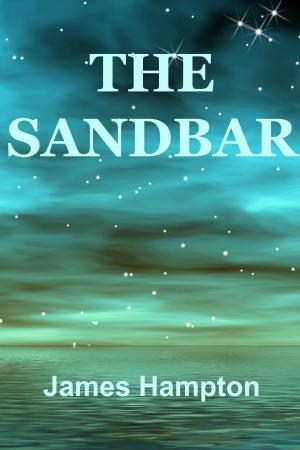 Cover of the book The Sandbar by Georgina Makalani