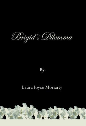 Book cover of Brigid's Dilemma