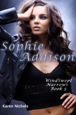 bigCover of the book WindSwept Narrows: #5 Sophie Addison by 