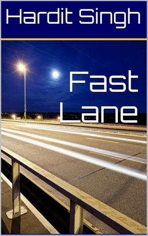 bigCover of the book Fast Lane by 