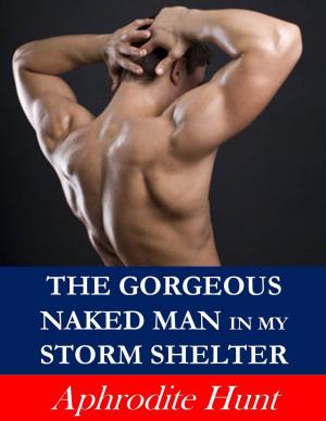 Cover of the book The Gorgeous Naked Man in my Storm Shelter (Erotic Suspense) by Amber Bourbon