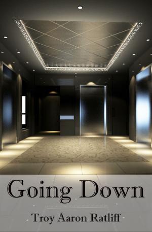 Cover of the book Going Down by Aenghus Chisholme