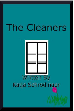 Book cover of The Cleaners