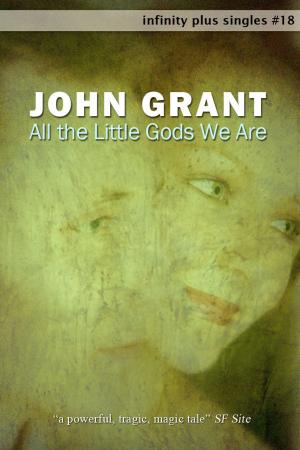 Cover of the book All the Little Gods We Are by Keith Brooke