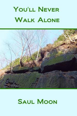 Cover of the book You'll Never Walk Alone by Sandra Marie