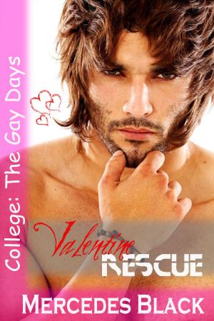Cover of the book Valentine Rescue by Alec Aahana
