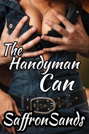 Cover of the book The Handyman Can by Saffron Sands