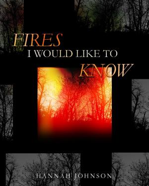 Book cover of Fires I Would Like To Know