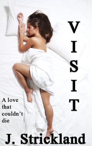 Cover of Visit