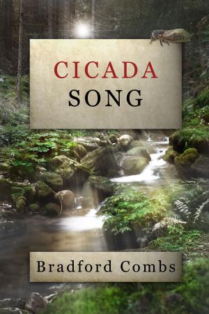 Book cover of Cicada Song