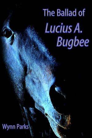 Book cover of The Ballad of Lucius A. Bugbee