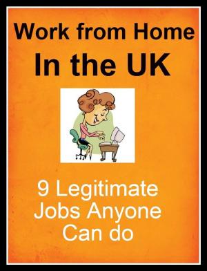 Book cover of Work from Home in the UK