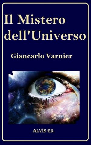 Cover of the book Il Mistero dell'Universo by Jessica Griffin