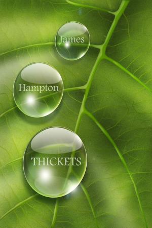 Cover of the book Thickets by James Hampton