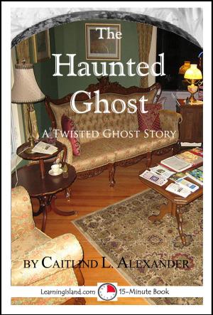 Cover of the book The Haunted Ghost: A Funny 15-Minute Ghost Story by Jeannie Meekins