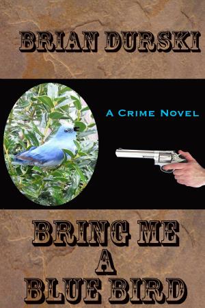 Cover of the book Bring Me A Bluebird by Graham Cook