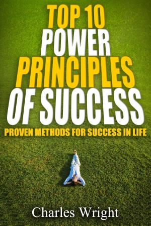 Book cover of Top Ten Power Principles Of Success