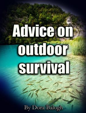 Cover of the book Advice on Outdoor Survival by Michele Chiariello
