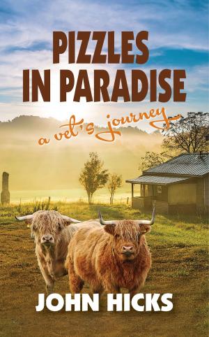 Cover of the book Pizzles in Paradise by Jean Hendy-Harris
