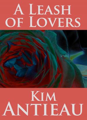 Book cover of A Leash of Lovers
