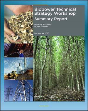 bigCover of the book Biopower Technical Strategy Workshop: Challenges to Expanded Use of Biopower, Technology Research, Feedstocks, Market Transformation by 