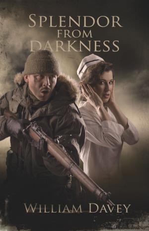 Cover of the book Splendor from Darkness by John Wheatcroft