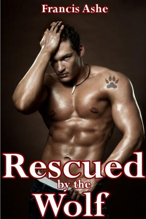 Cover of the book Rescued by the Wolf (m/m) by Nikki Morris