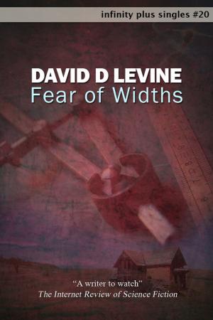 Cover of the book Fear of Widths by Anna Tambour