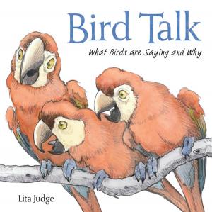 Cover of the book Bird Talk by Shane W. Evans