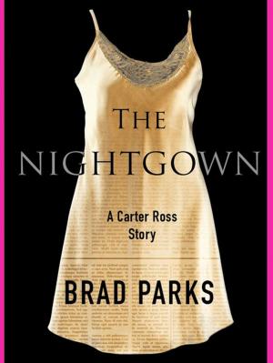Book cover of The Nightgown
