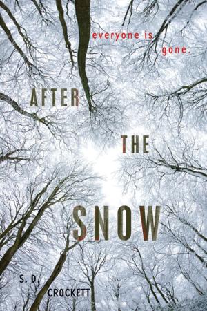 Cover of the book After the Snow by Harry Edge