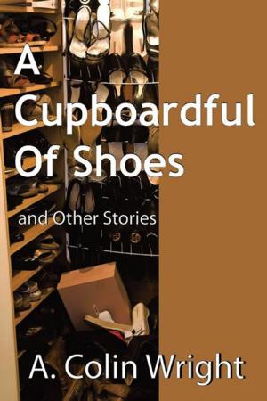 Book cover of A Cupboardful of Shoes