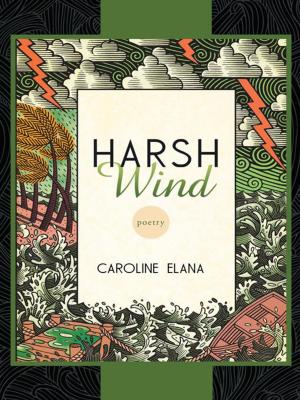 Cover of the book The Harsh Wind by Lloyd E. McIlveen